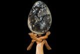 Septarian Dragon Egg Geode - Black Crystals #78545-1
